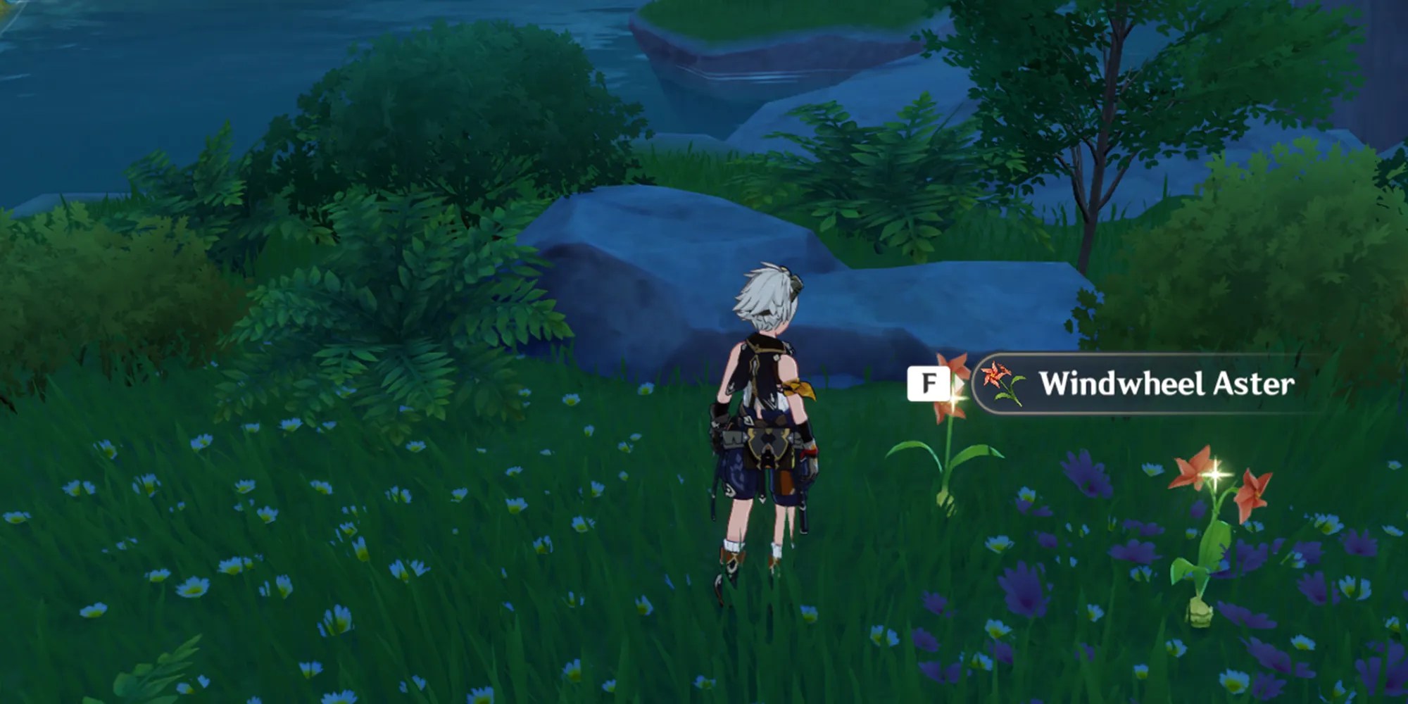 Ascension And Talent Materials For In Genshin Impact