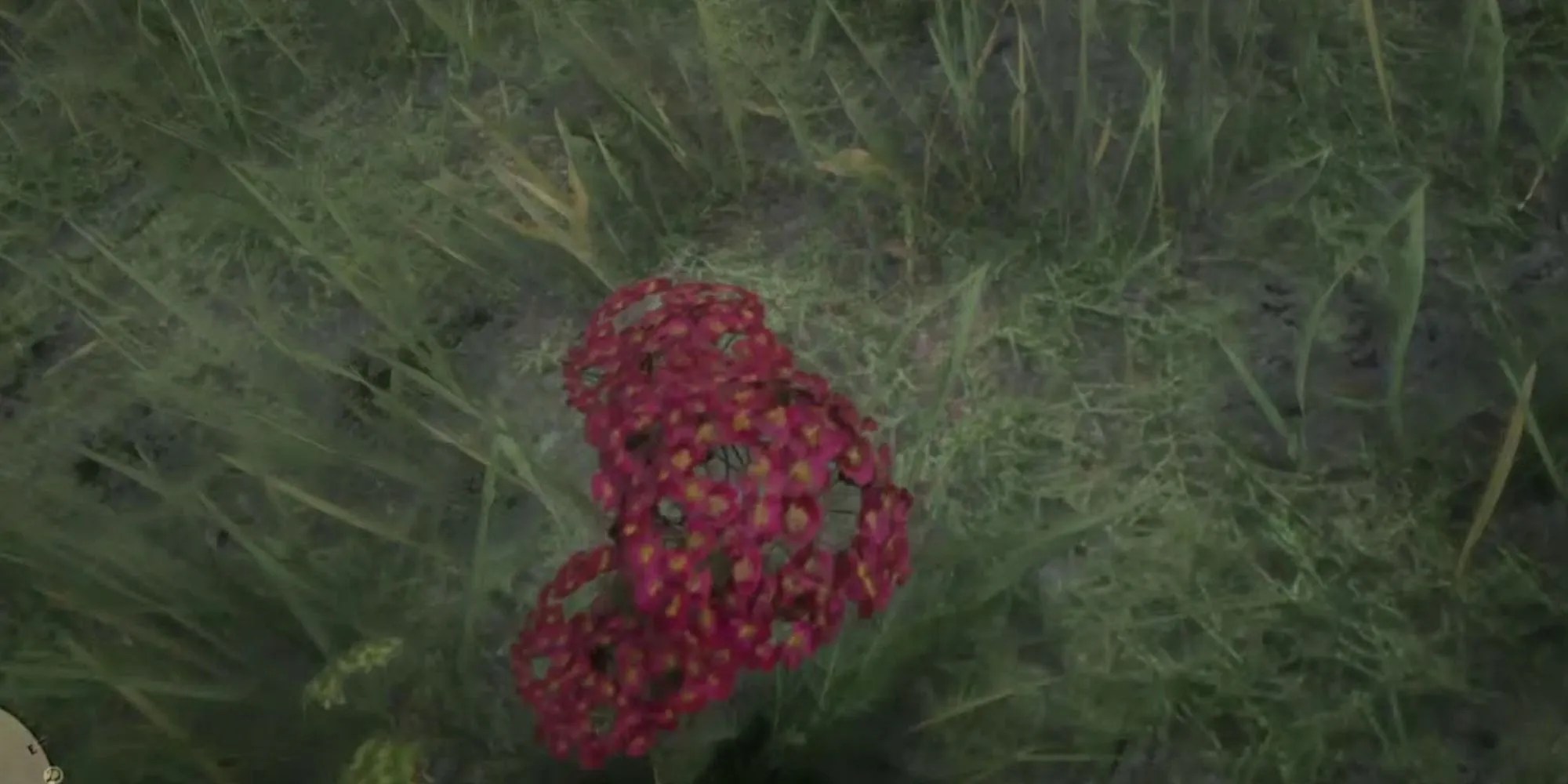 Red Dead Redemption 2 10 Best Herbs And Plants And Where To Find Them