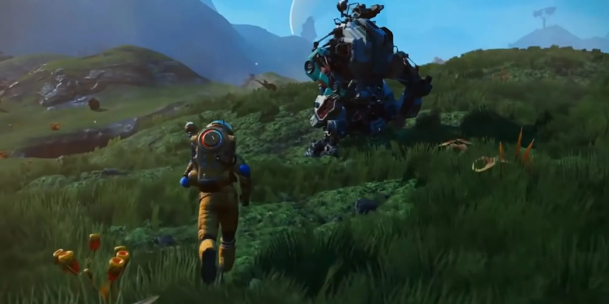 Wiring loom nms - lasopabydesign