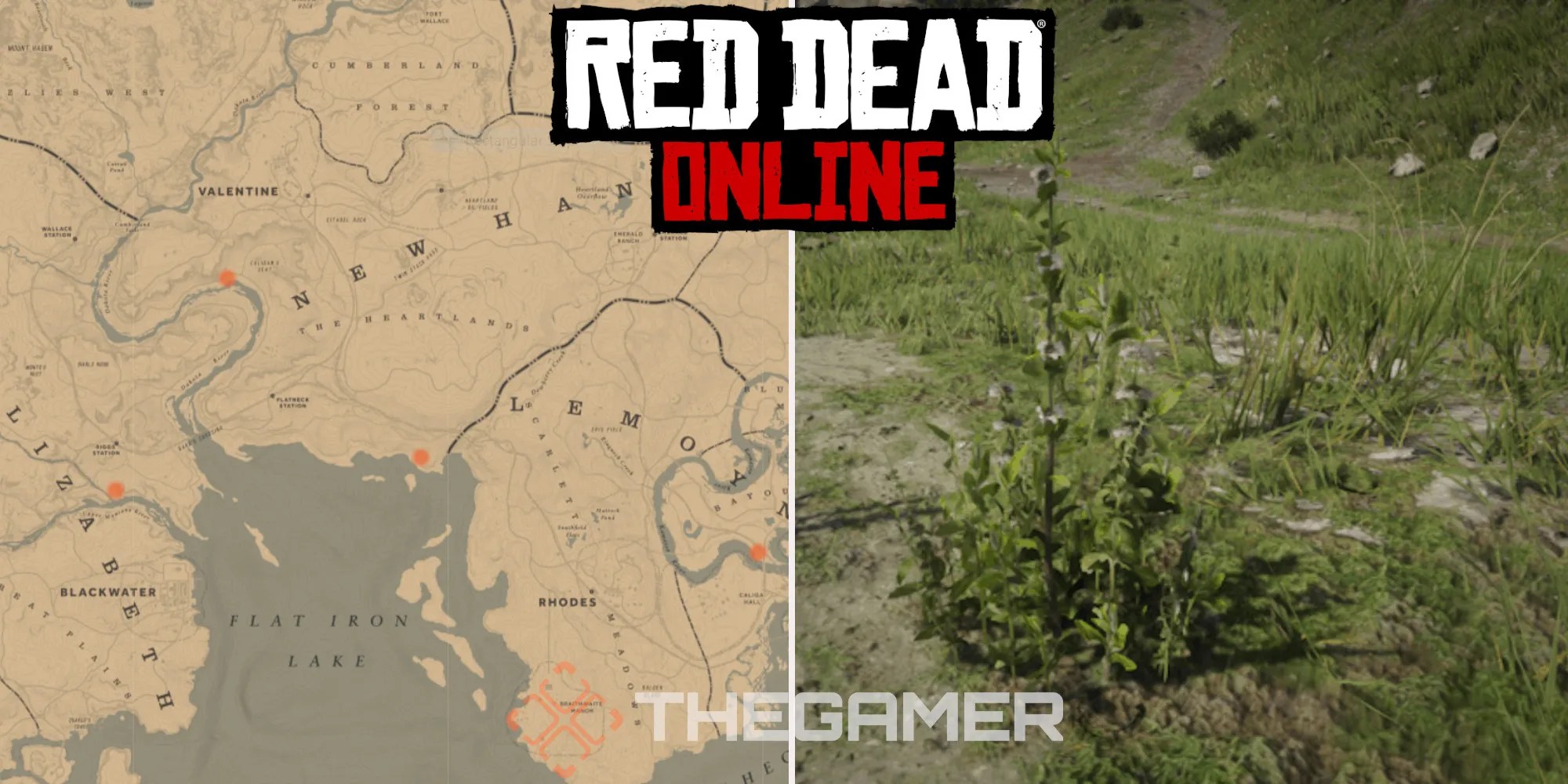 Where To Find Wild Mint In Red Dead Online