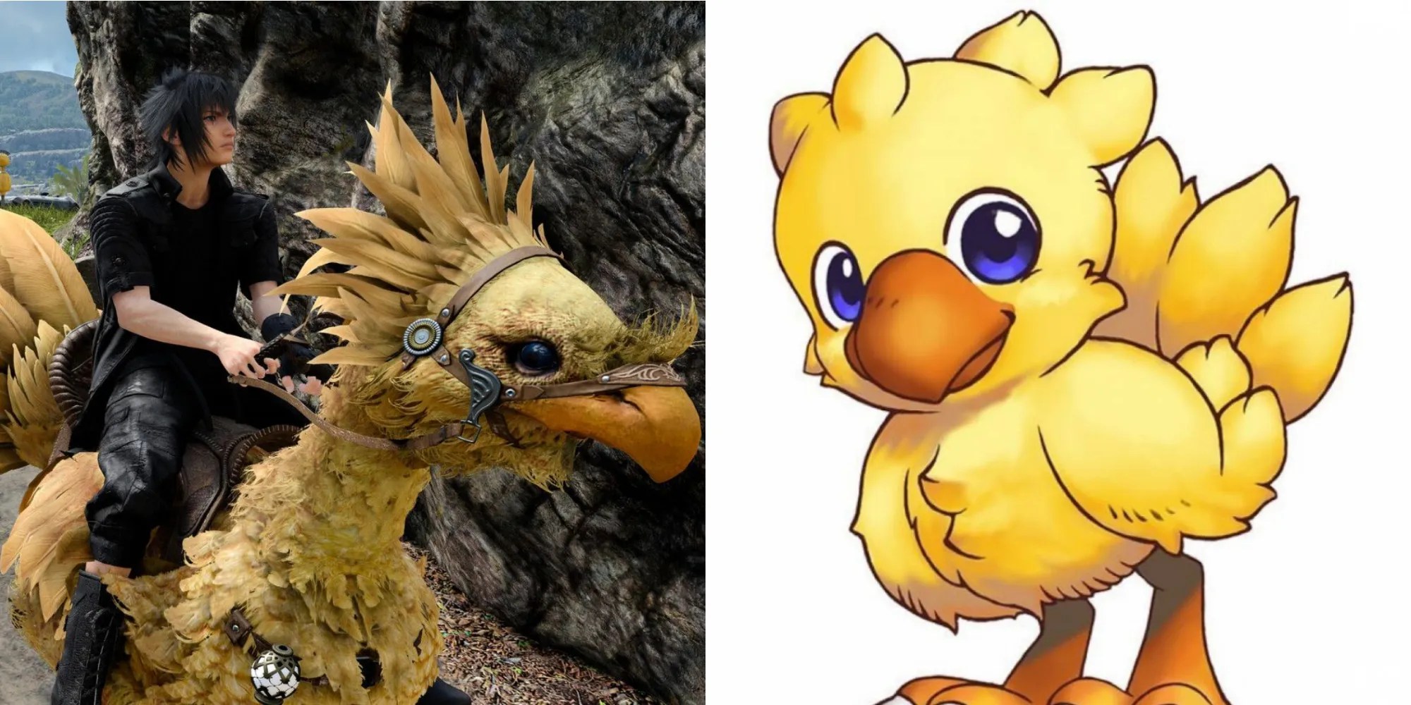 Final Fantasy Things You Didn't Know About Chocobos