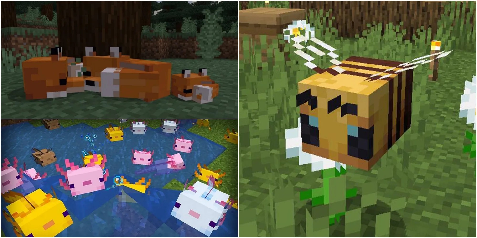 Every Major Minecraft Update, Ranked