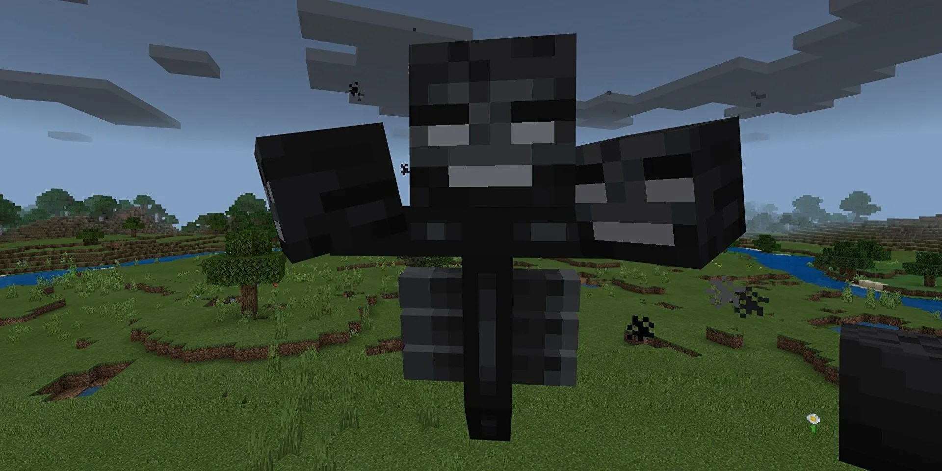 Minecraft Things You Didn’t Know About The Wither