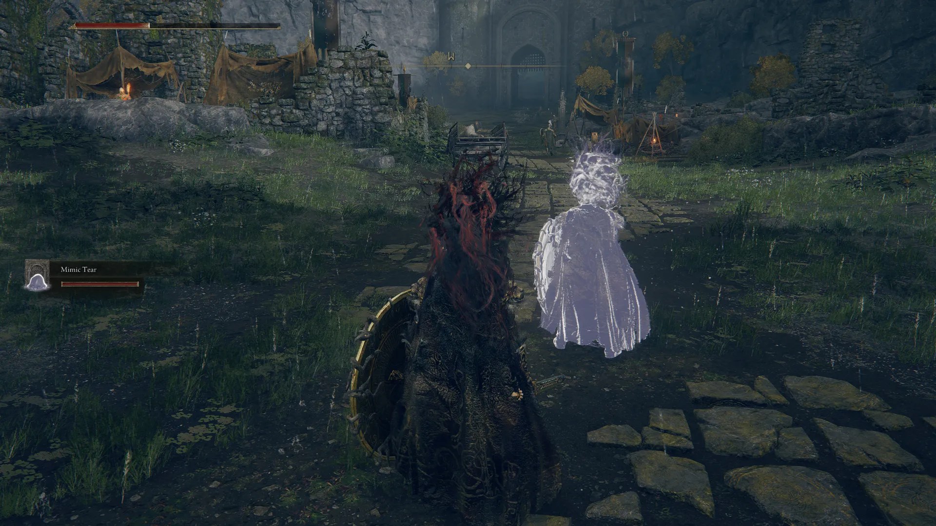 How To Get The Mimic Tear Ashes In Elden Ring