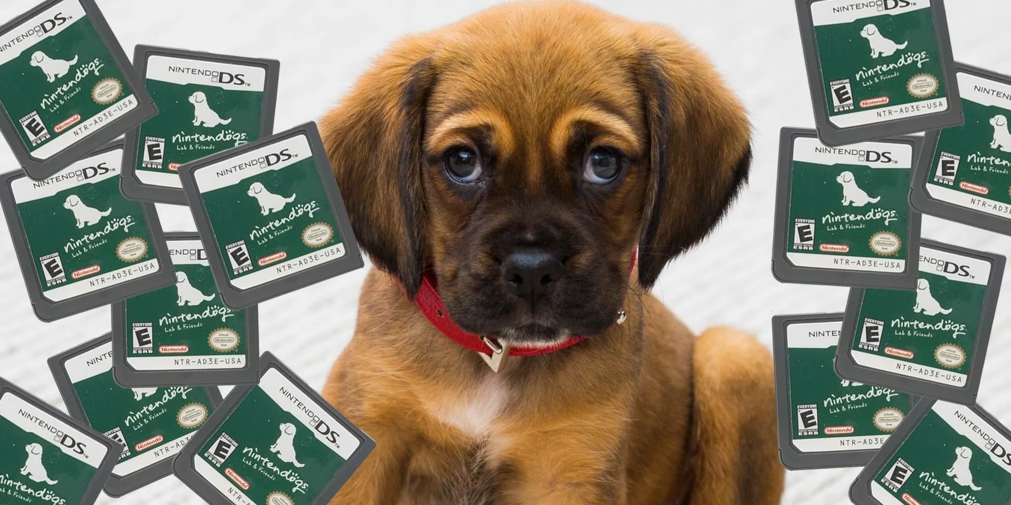 I Just Thought About All The Dead Nintendogs, Souls Trapped Forever In