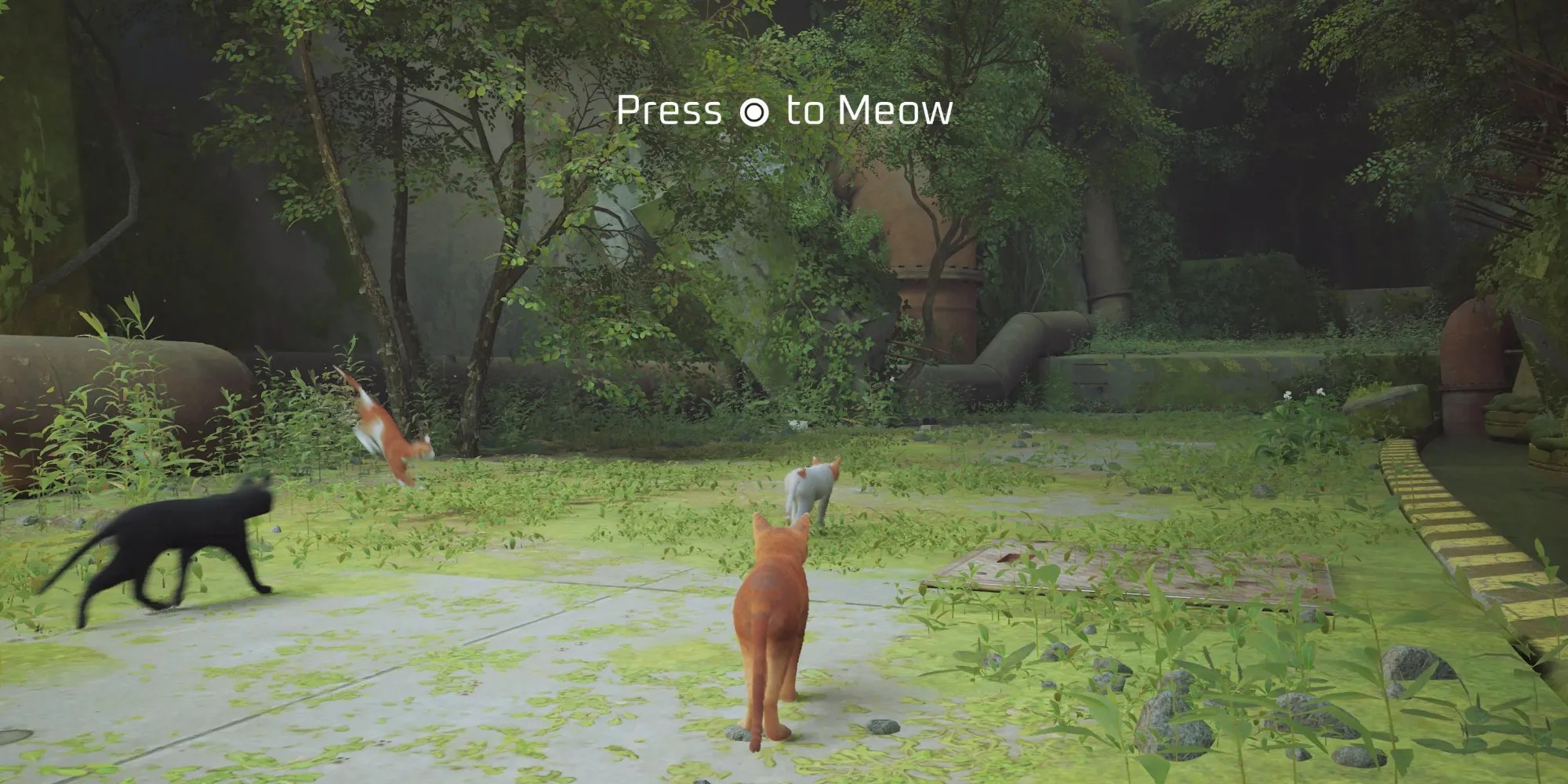 Meow button prompt in Stray