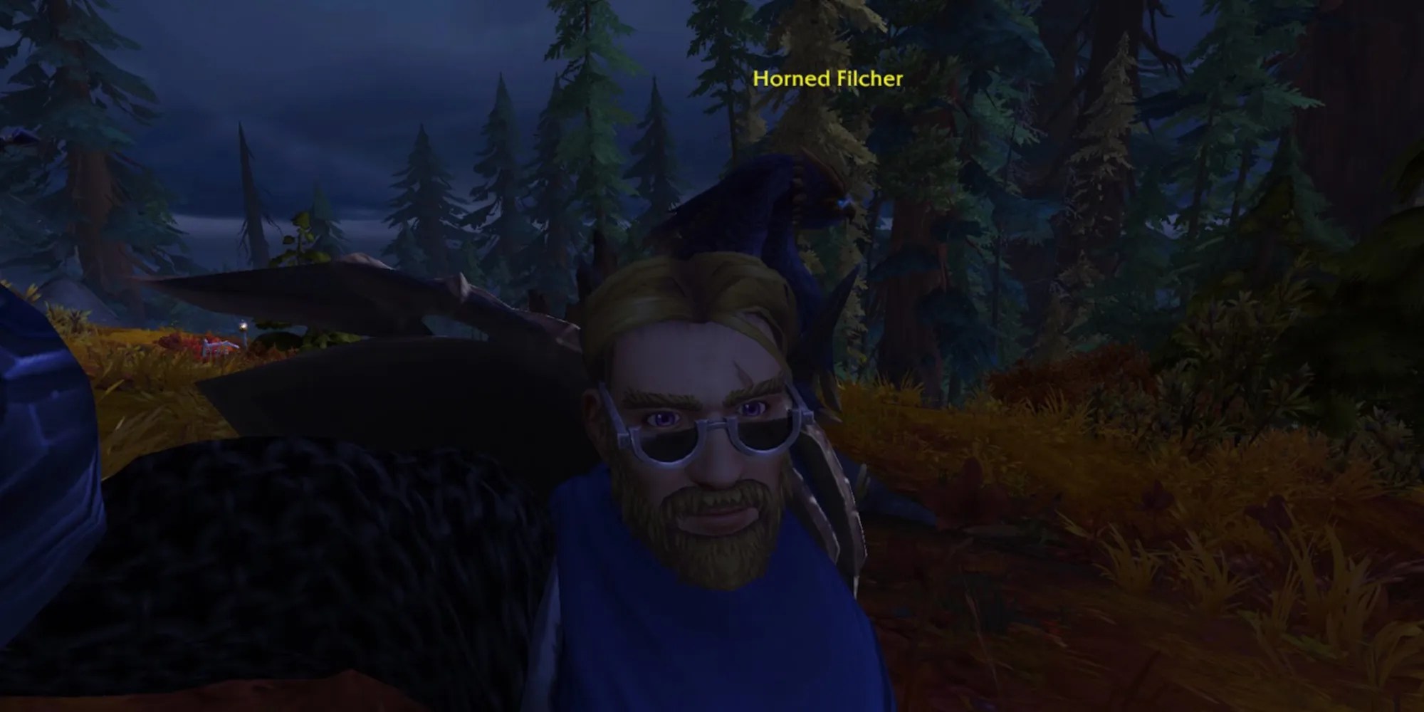 Male Human Paladin Taking A Selfie With A Bird
