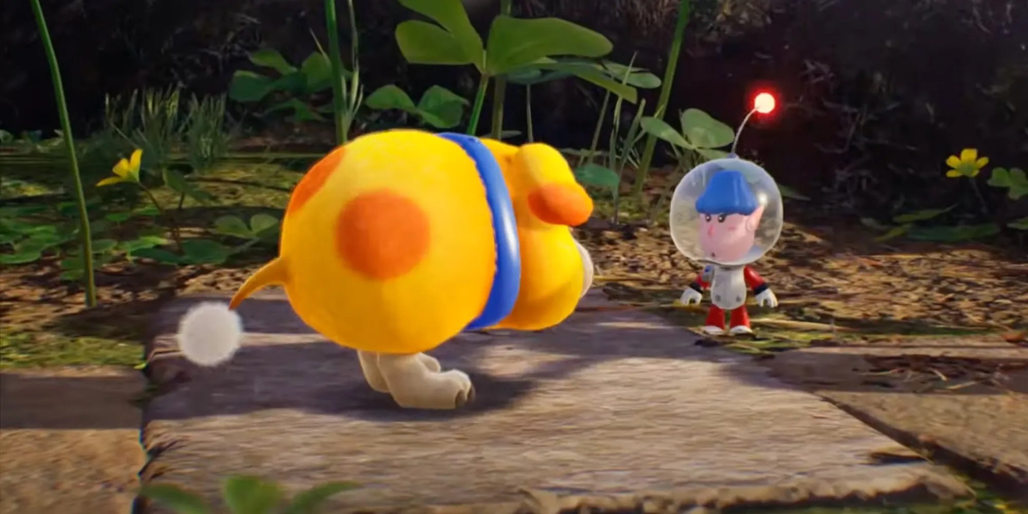 Sammy from Pikmin 4-1