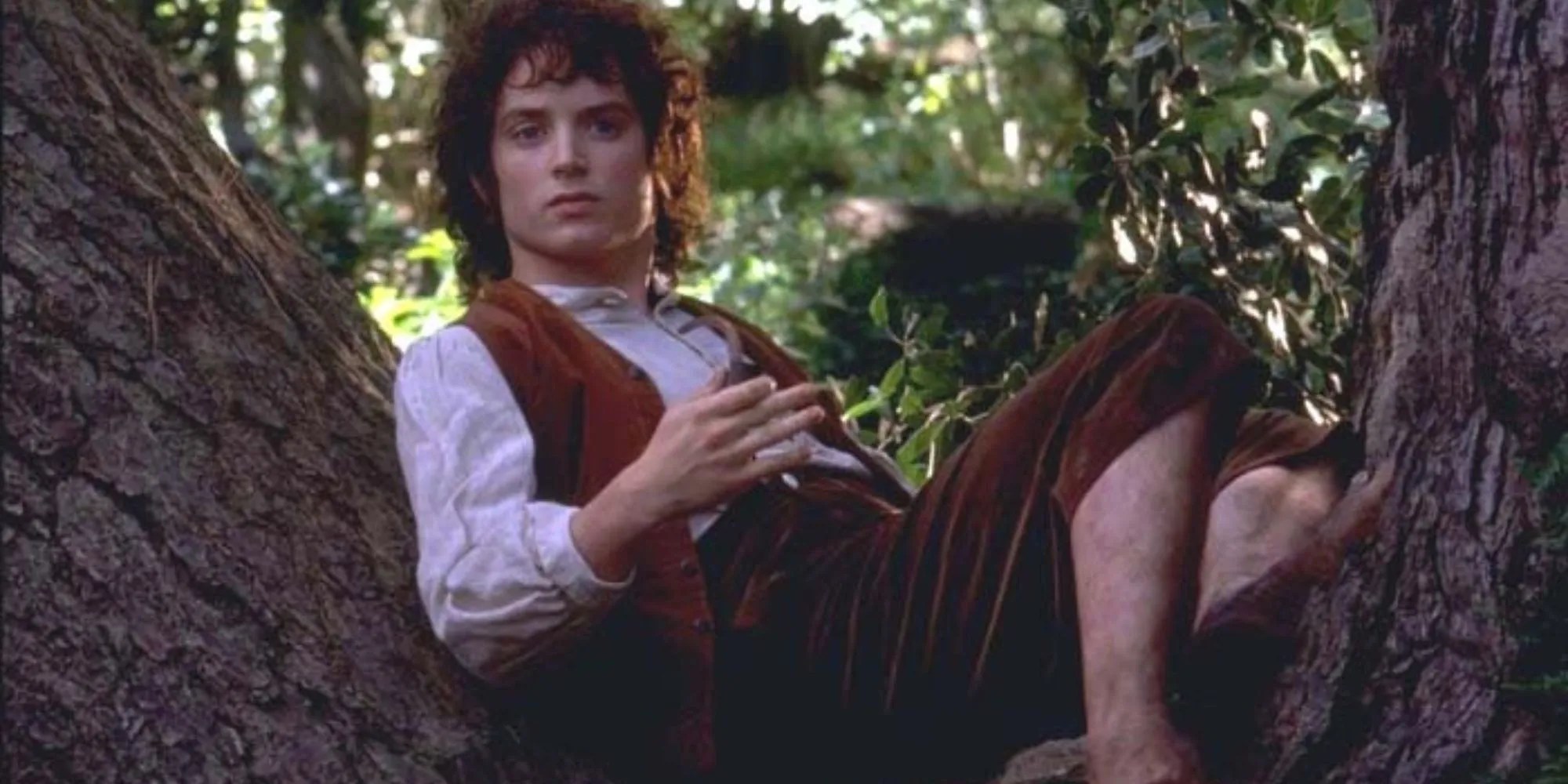 frodo lounging on branch of tree