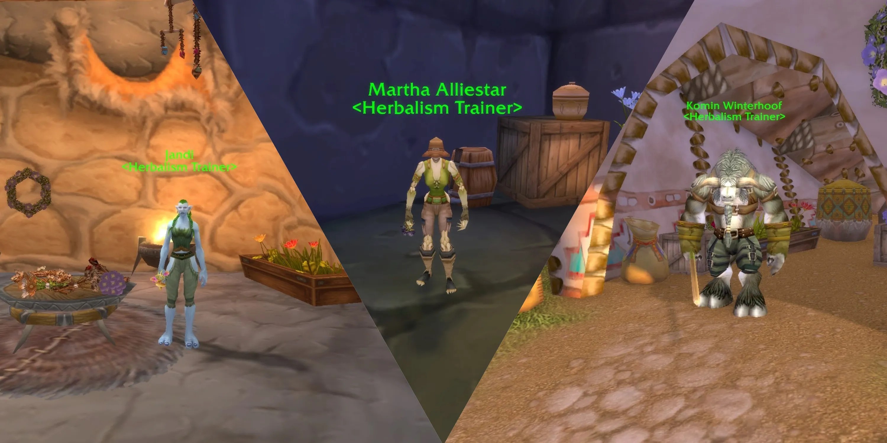 The herbalist trainers of the Horde capitals, from left to right: the troll Jandi of Orgrimmar, the Forsaken Martha Alliestar of Undercity, and the tauren Komin Winterhoof of Thunder Bluff