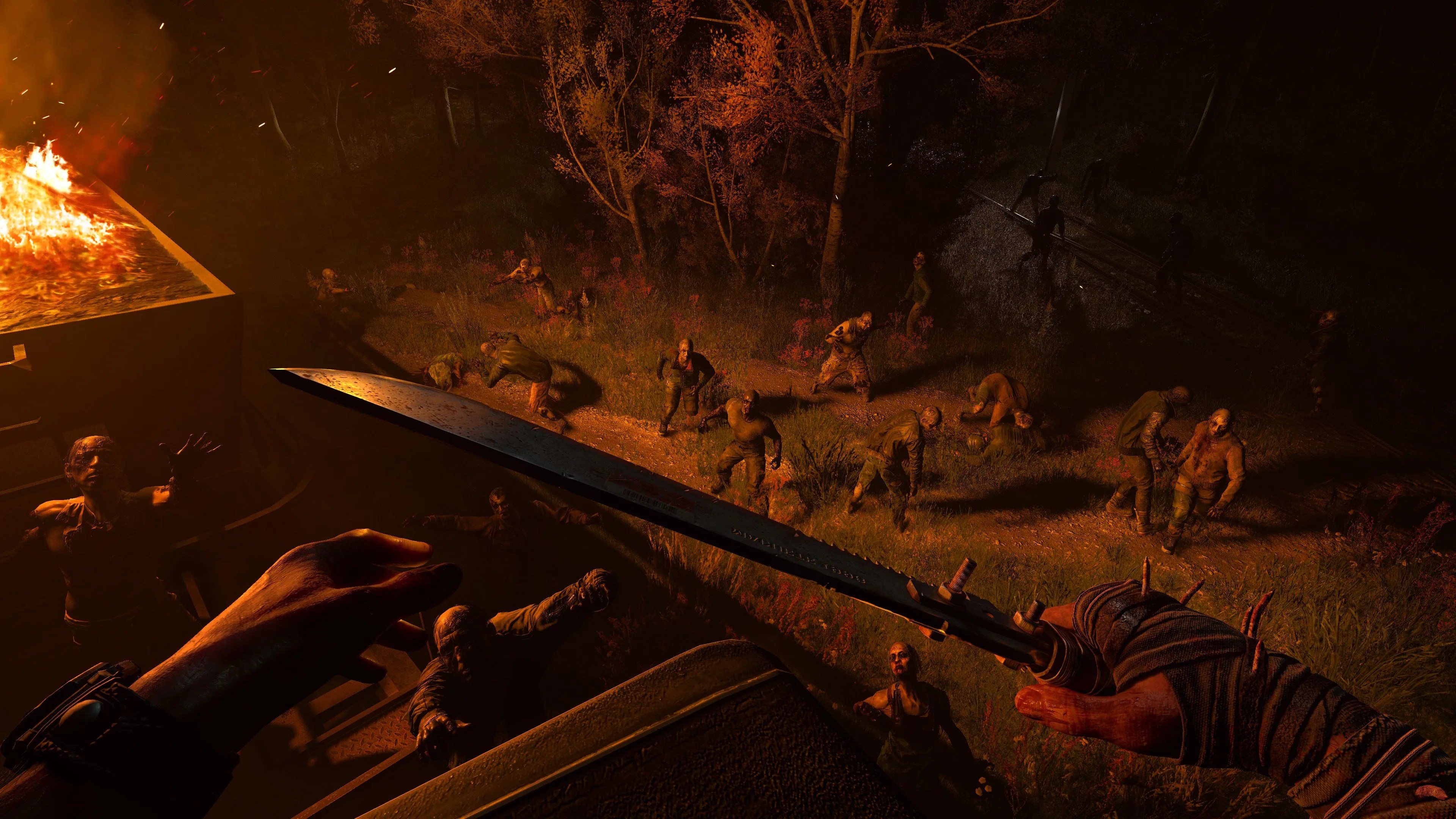 The player standing on a high point in a forest at night, with fire on the left and a group of zombies looking at you on the right.