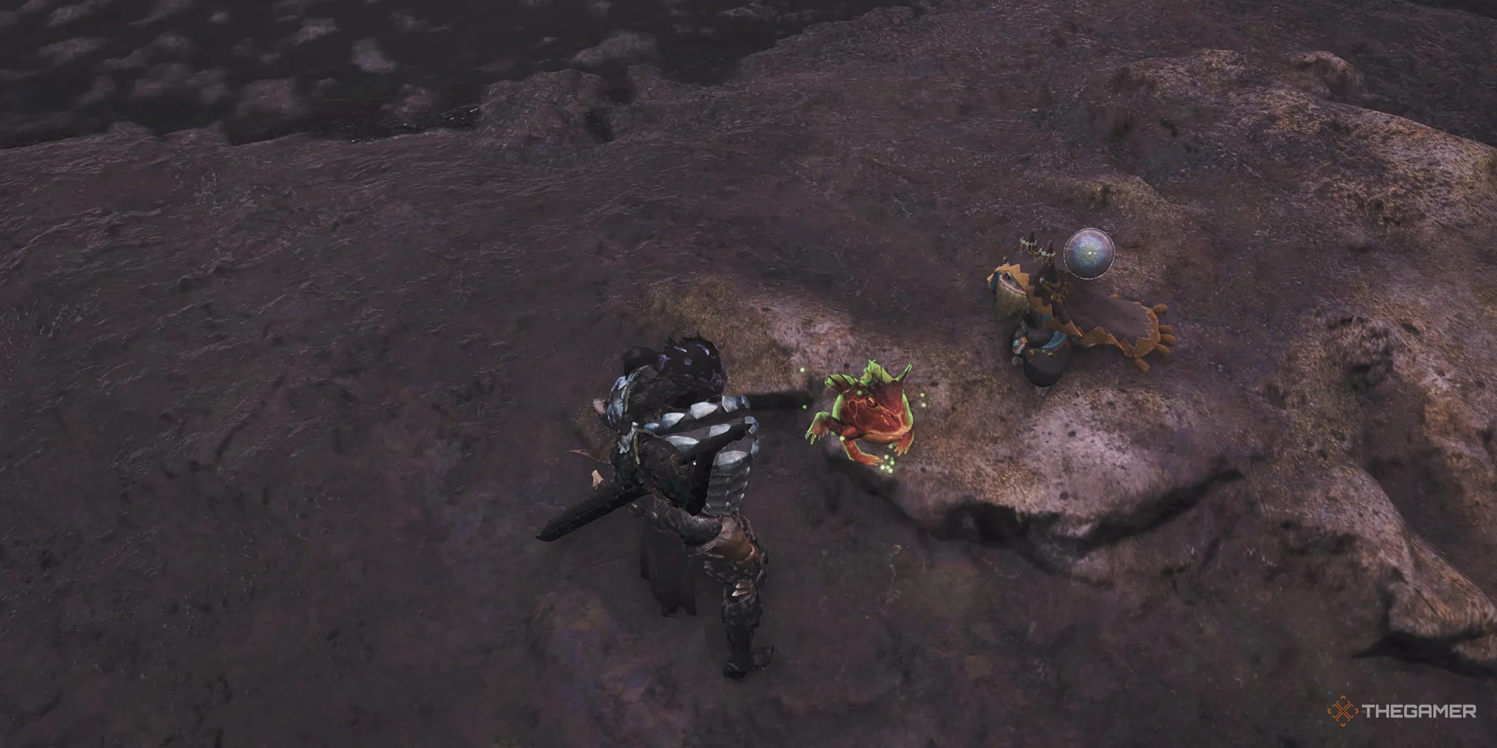 The hunter about to kick a Nitrotoad in Monster Hunter Wilds.