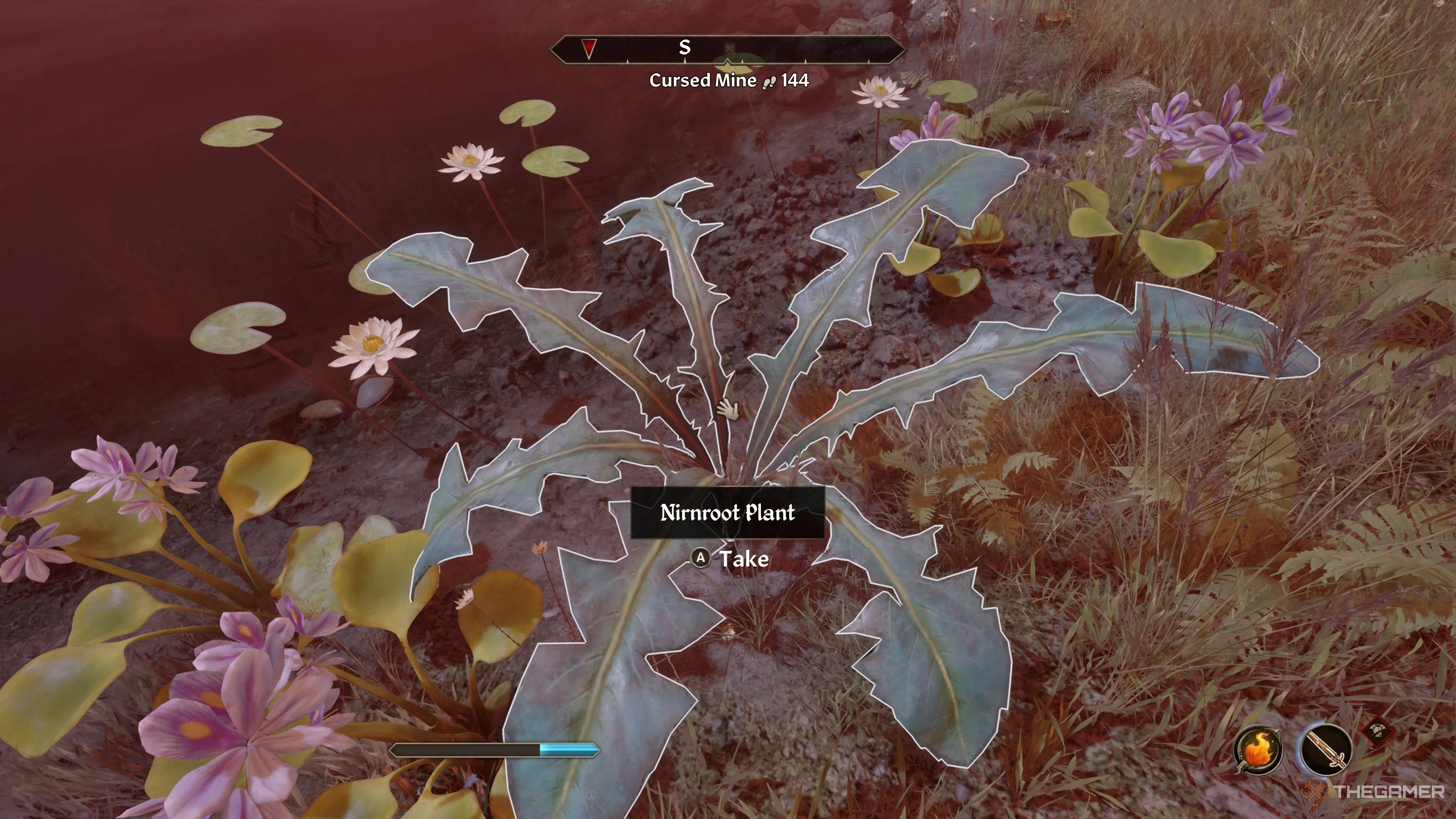 Oblivion Remastered Nirnroot By Water