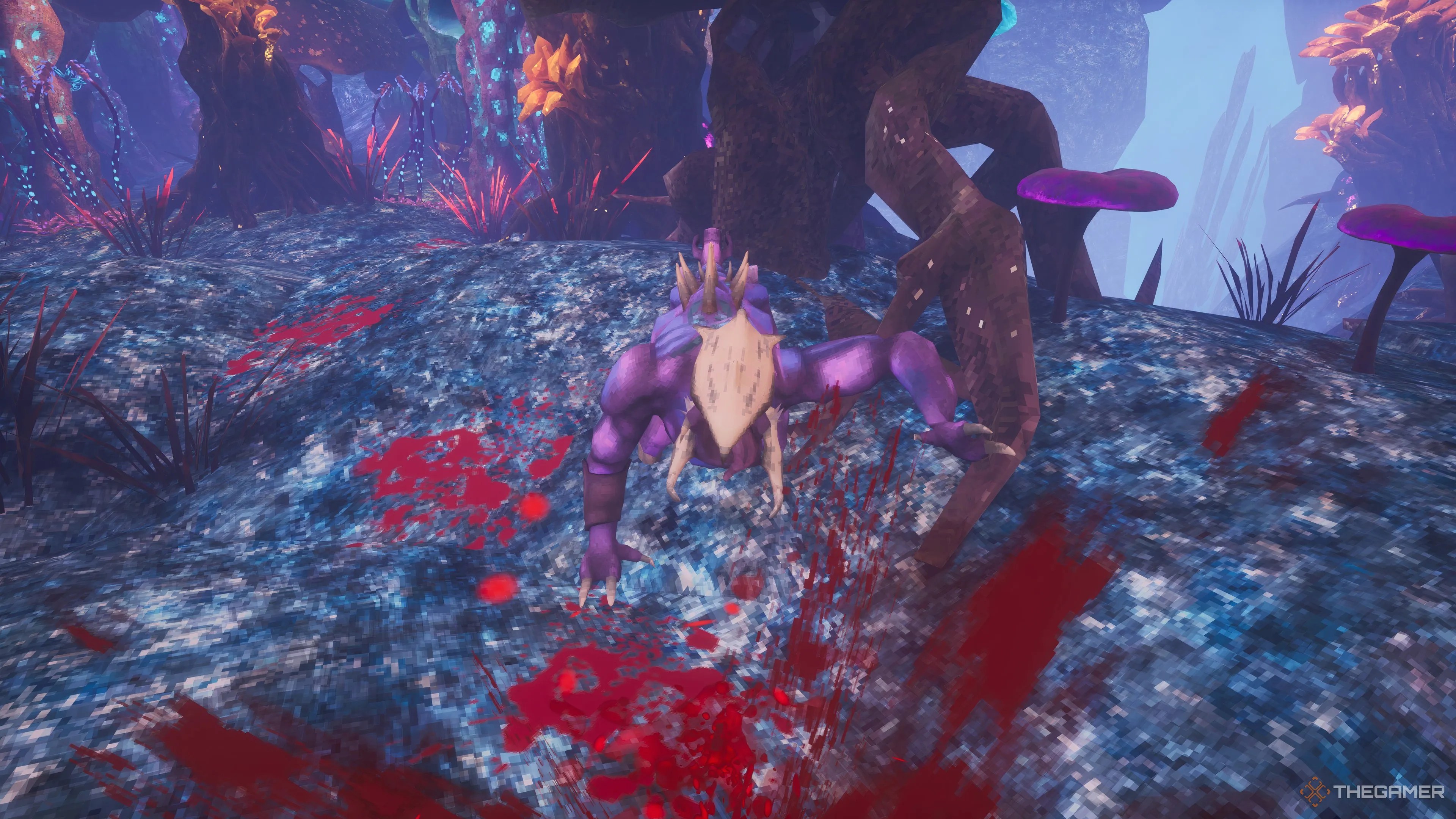 Attacking Peccary Sow in vibrant zone in Abiotic Factor.