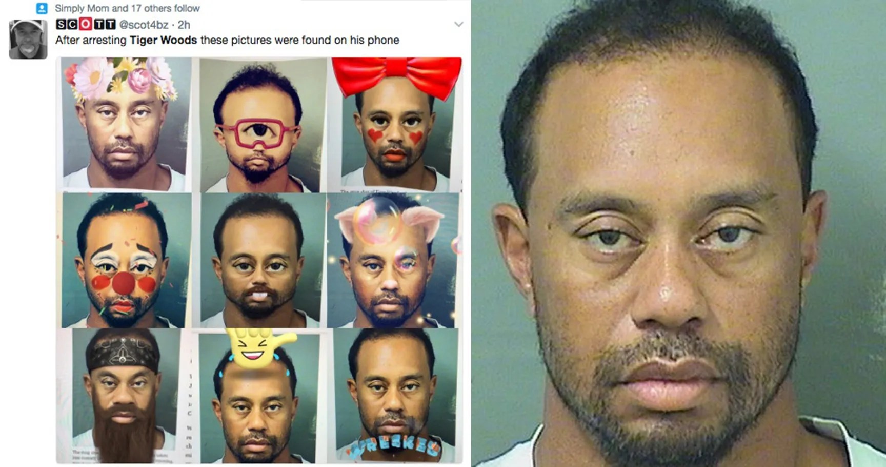 The Most Inappropriate Tiger Woods Memes Following His DUI Arrest