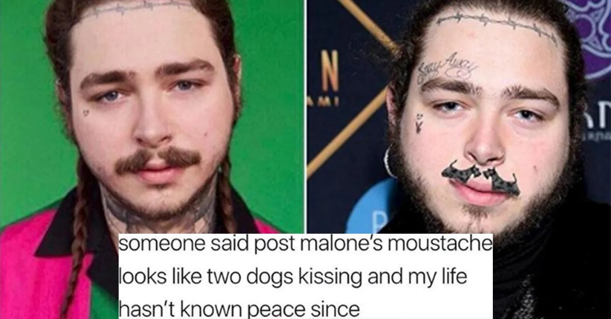 Mustache Photos Post Malone Mustache Dog
