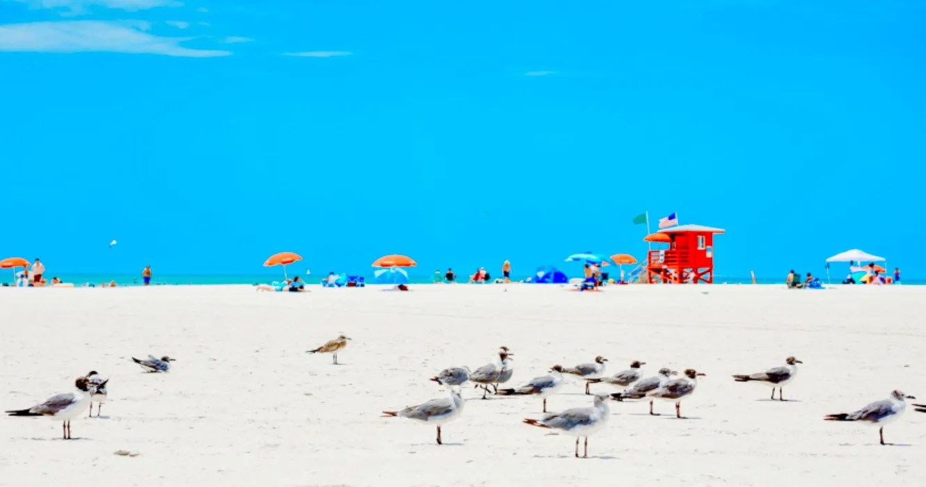 7 Less Touristy Alternatives To Miami