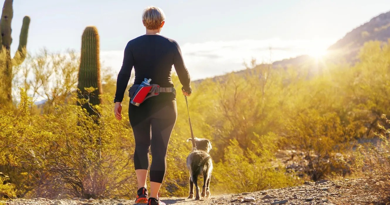9 DogFriendly State Parks In Arizona