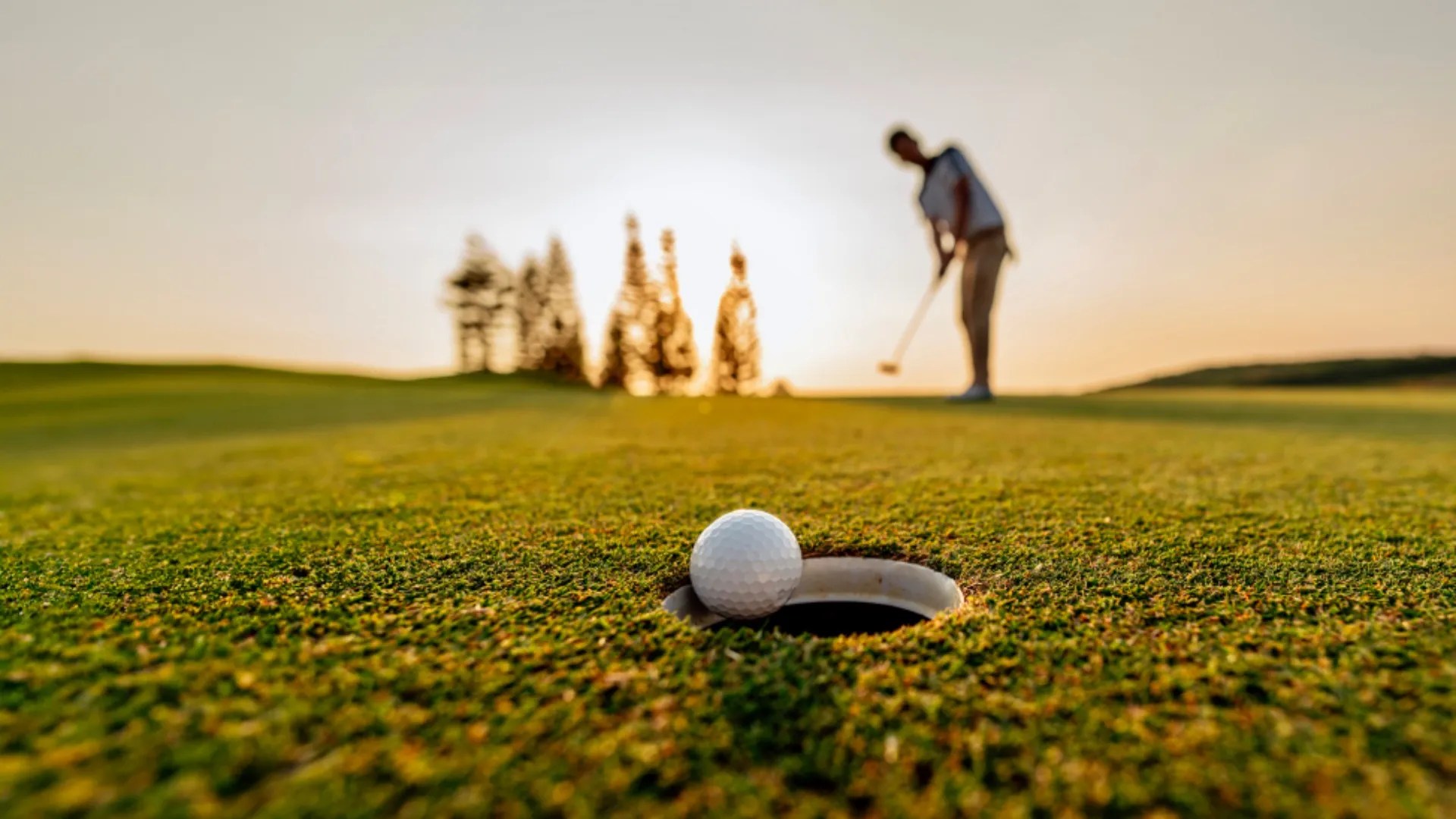 Maine To Nova Scotia What To Know About The Ferry Reopening