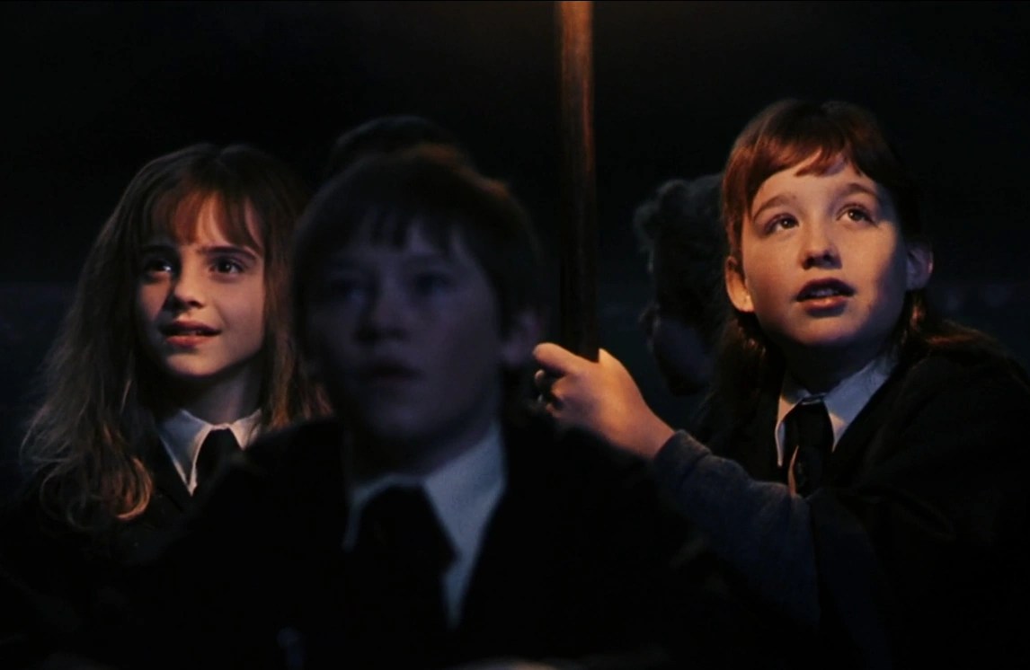 Susan Bones Harry Potter Wiki