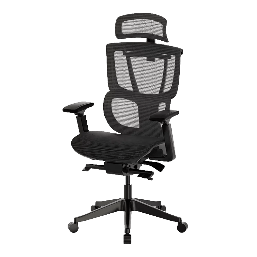 FlexiSpot C7 Ergonomic Office Chair review For those who want lumbar