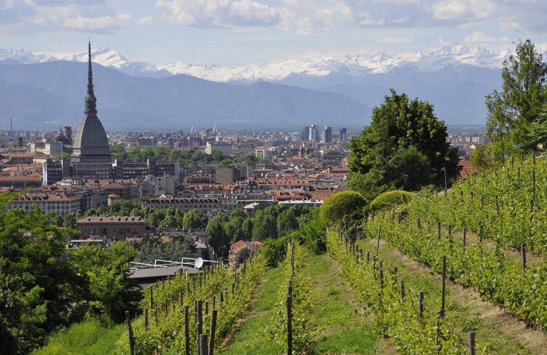 Torino E Le Langhe In Prima Fila: 5 Esperienze Esclusive Per Vivere L'autunno In Piemonte | Dove Viaggi 700_x_1080_jpg