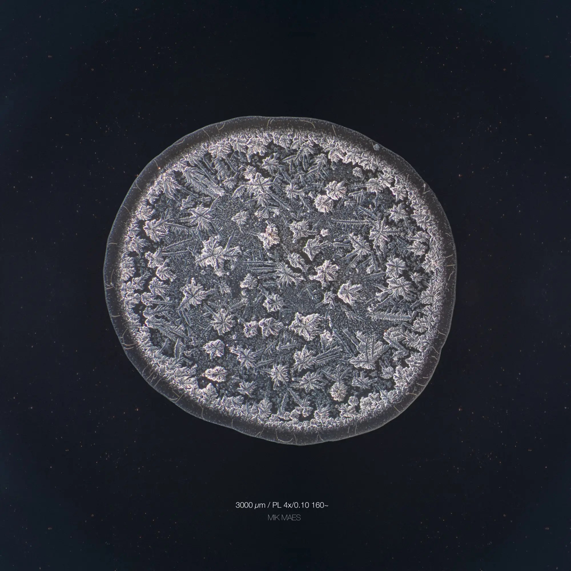 What tears look like under a microscope Business Insider