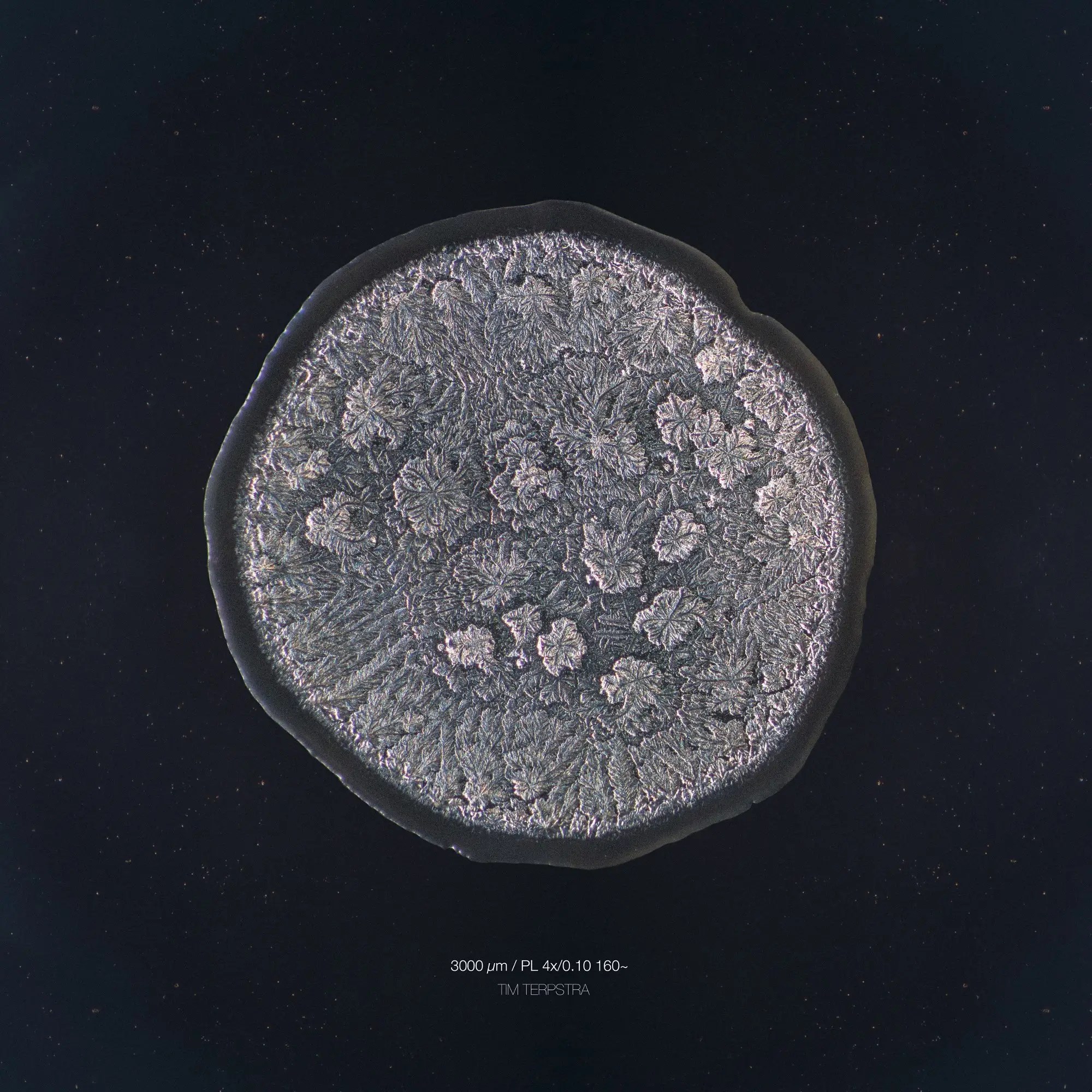 What tears look like under a microscope Business Insider