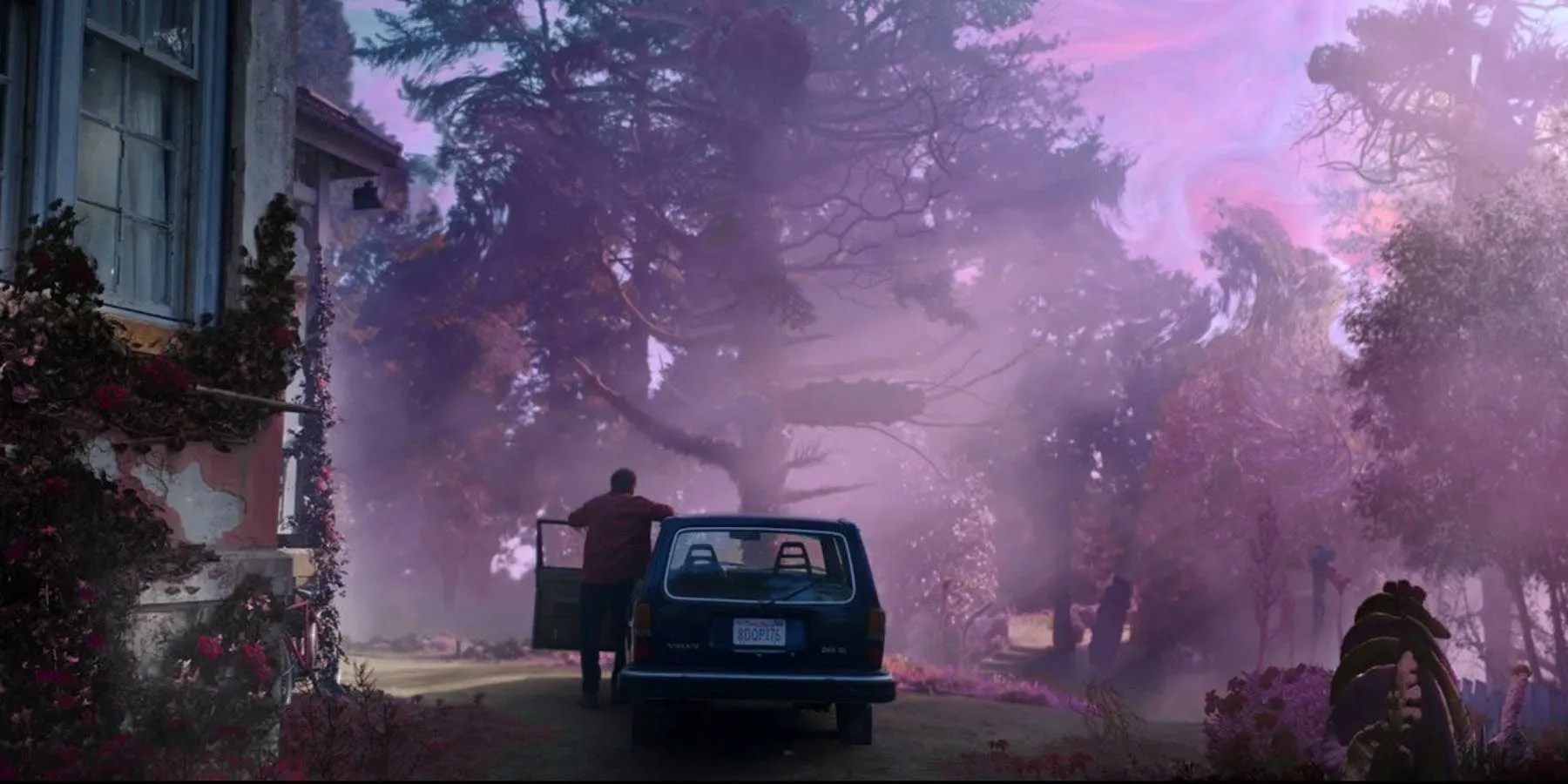 REVIEW Color Out of Space Has Crazy Scares But Little Reason to Care
