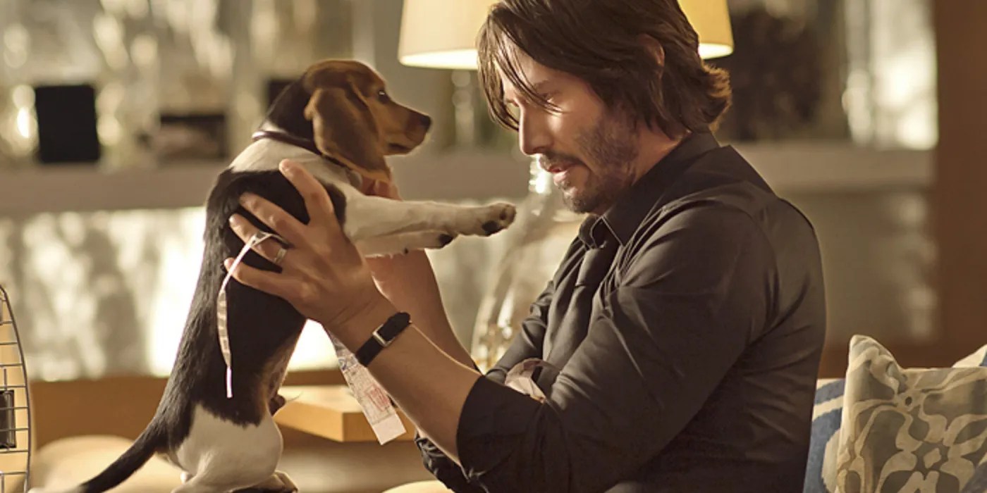John Wick Studio Tried to Save the Dog CBR