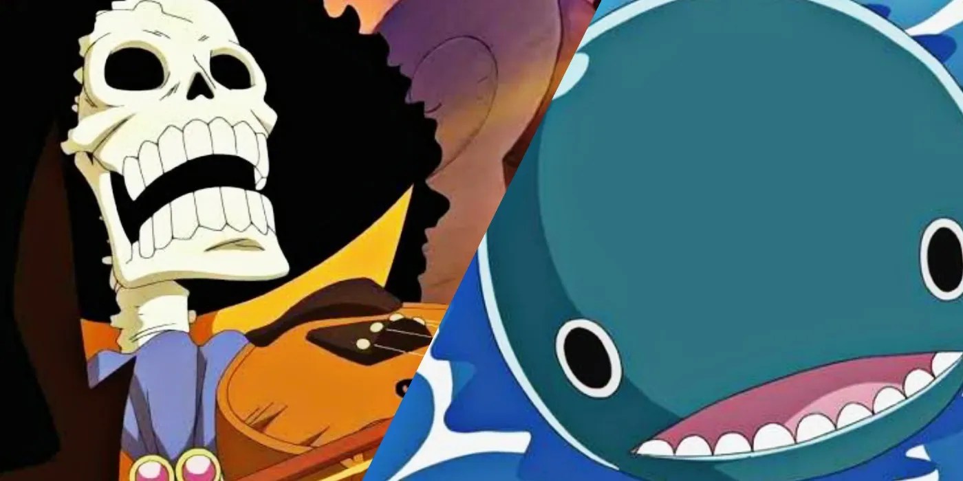 One Piece 10 Best Friendships Of The Series, Ranked CBR