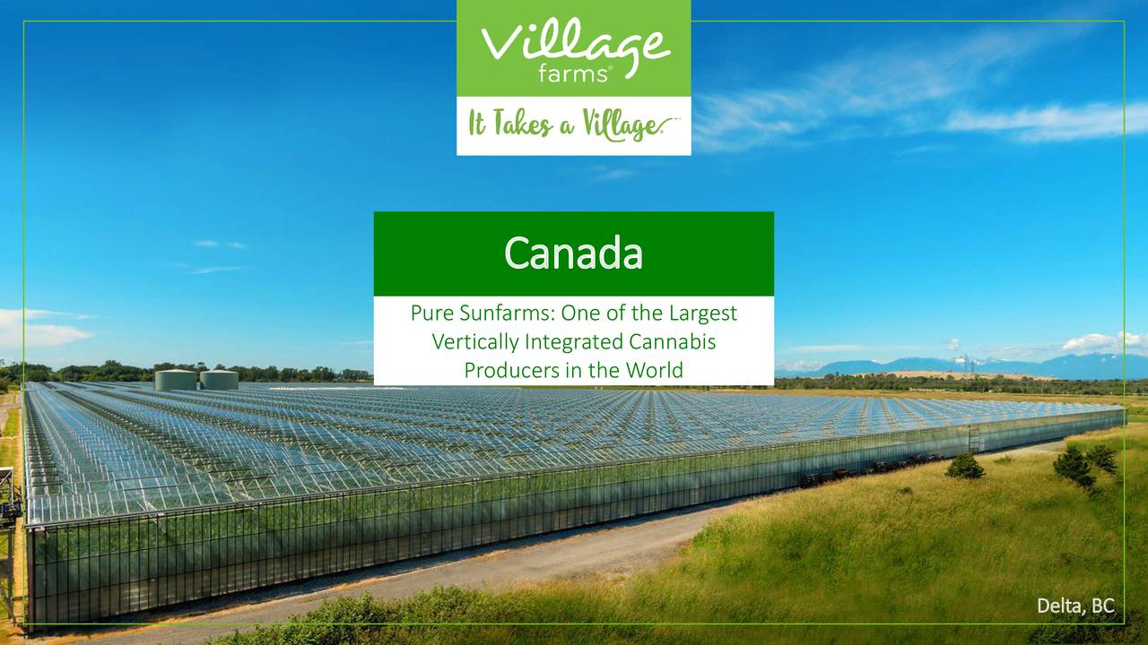 Village Farms International, Inc. 2020 Q1 Results Earnings Call Presentation (NASDAQVFF