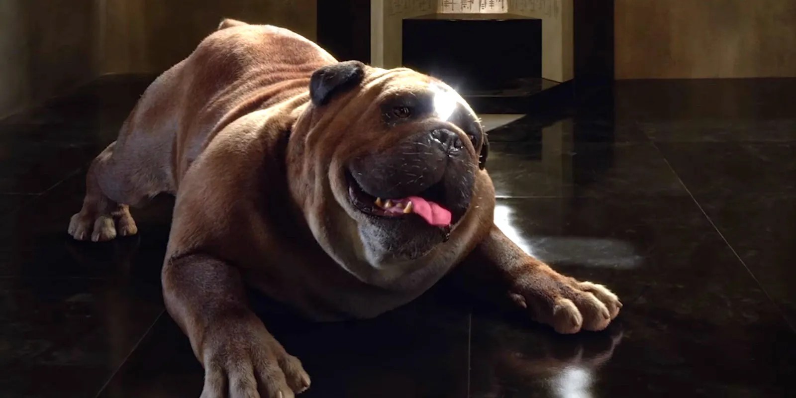 Lockjaw From Marvel's Inhumans Revealed at SDCC Screen Rant