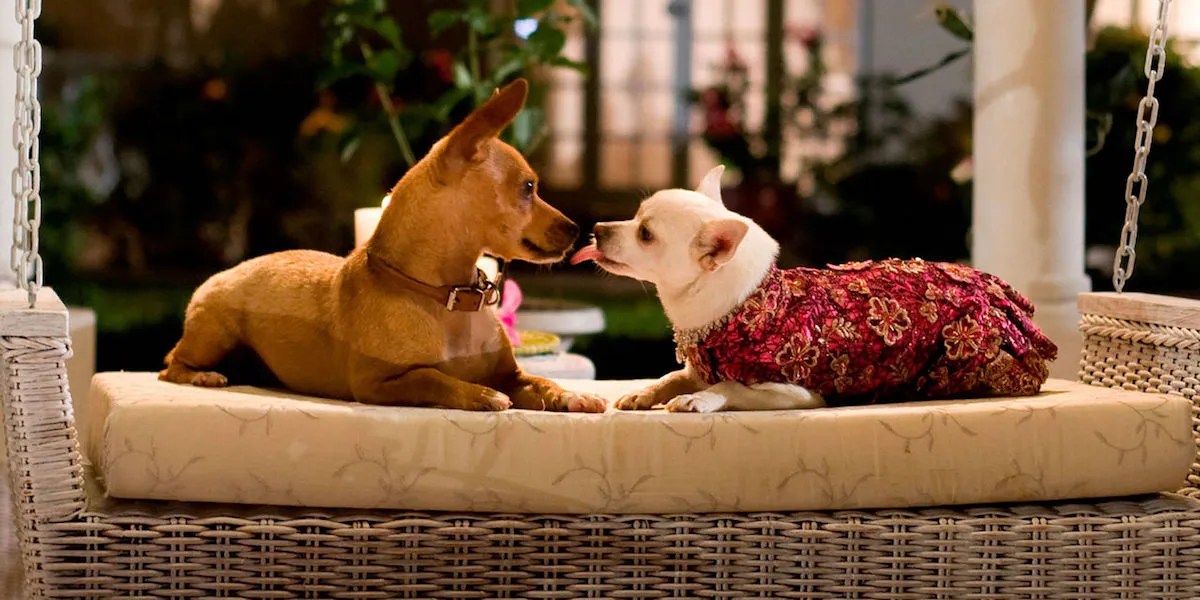 10 Cutest Animal Movies To Watch On Netflix If You Loved The Secret