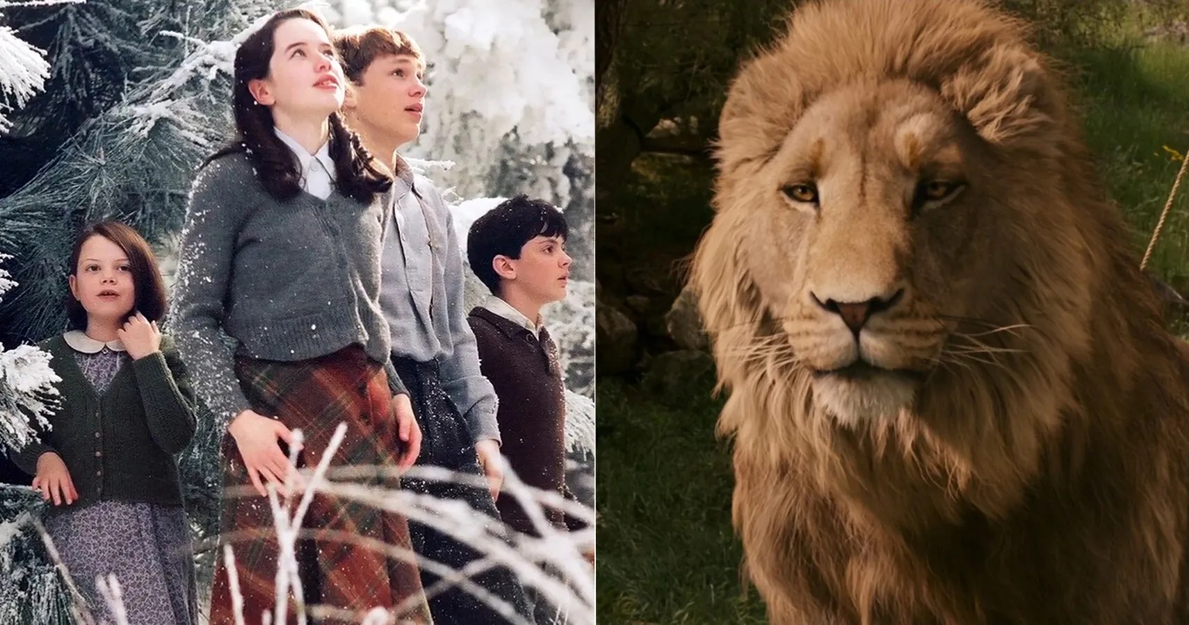 The Chronicles Of Narnia 10 Things The Movies Leave Out