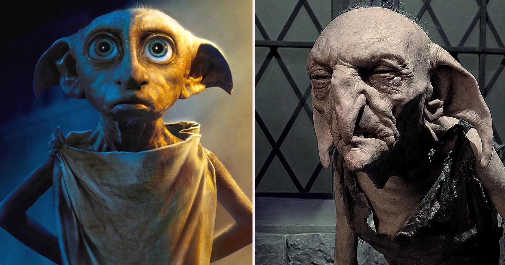 House-elf Harry Potter Wiki Fandom