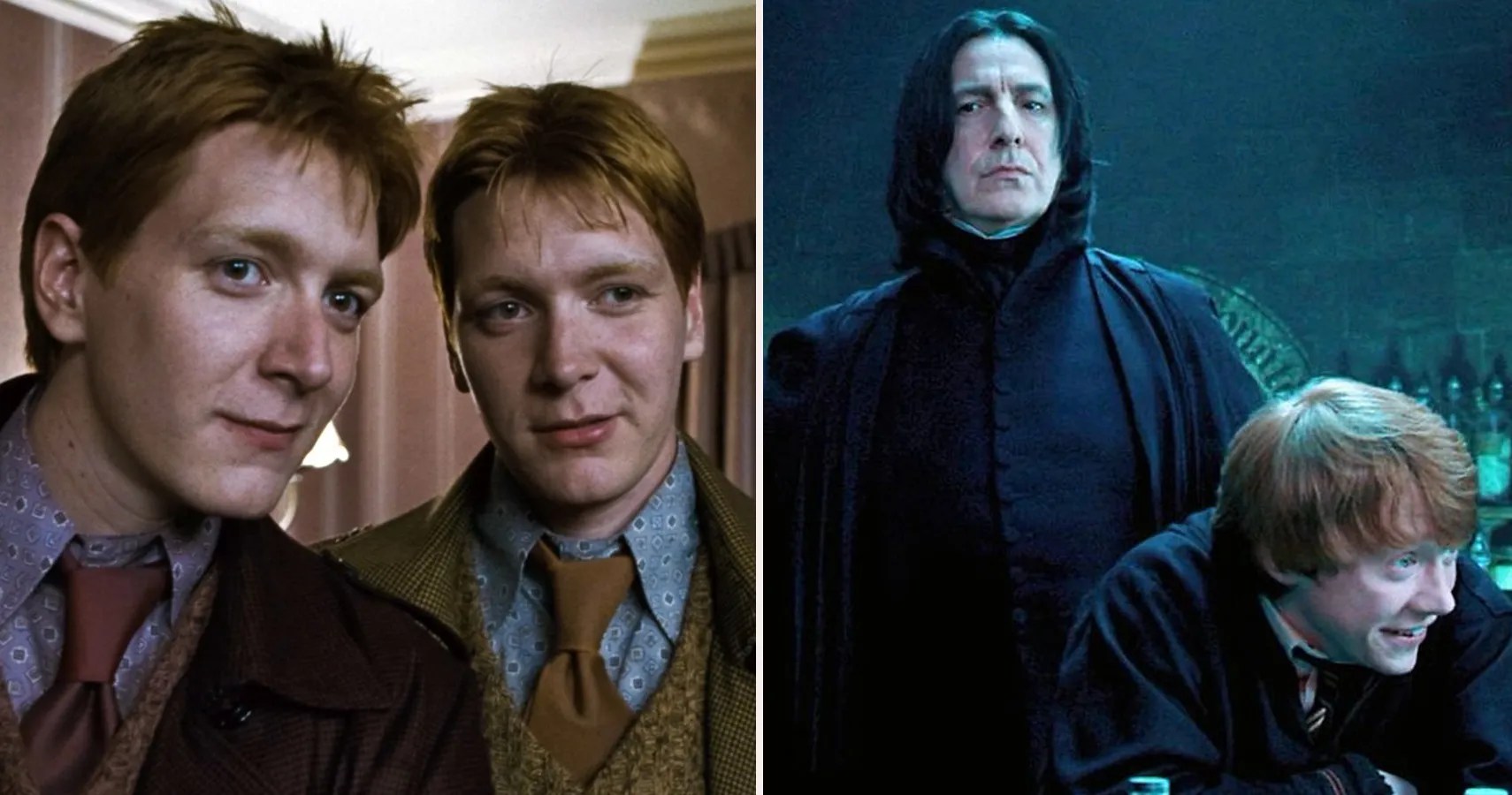 Harry Potter 10 Funniest Characters, Ranked ScreenRant