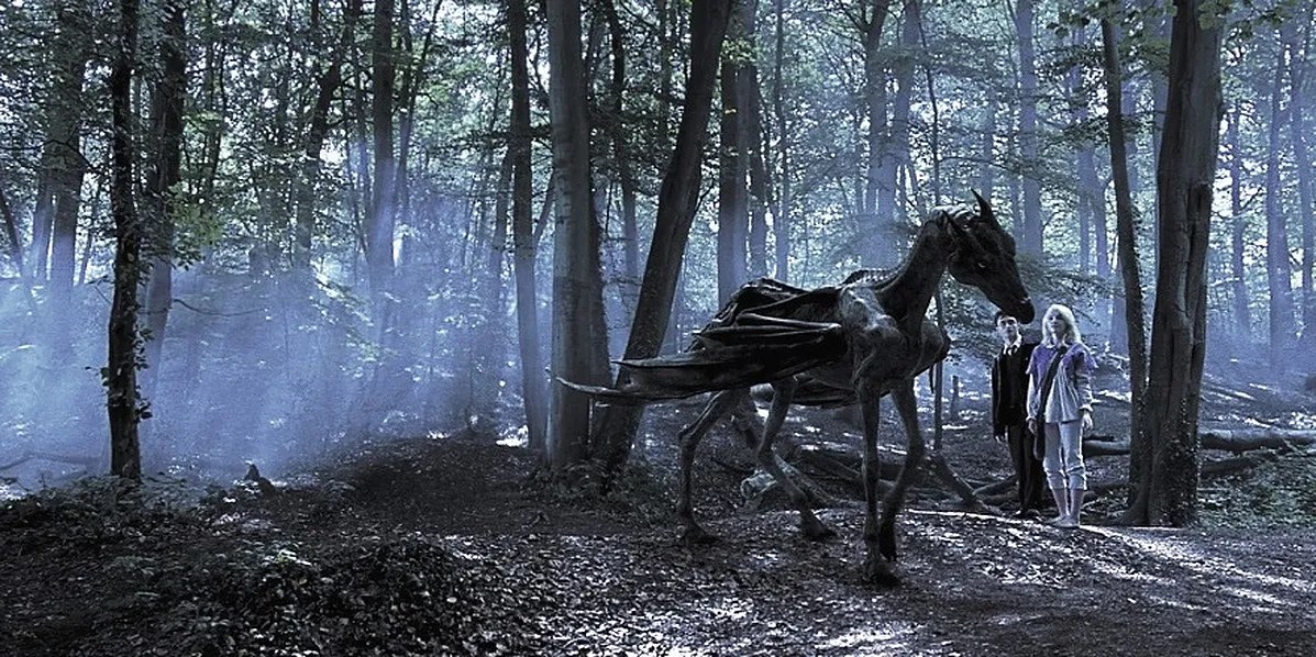 Harry Potter 10 Scariest Creatures In Hogwarts ScreenRant Movie