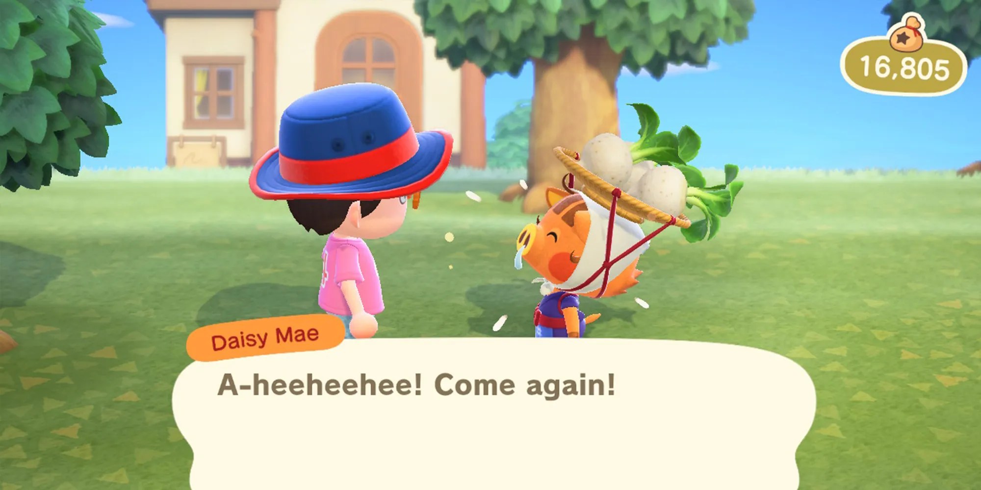 Animal Crossing New Horizons Where to Store Your Turnips Online