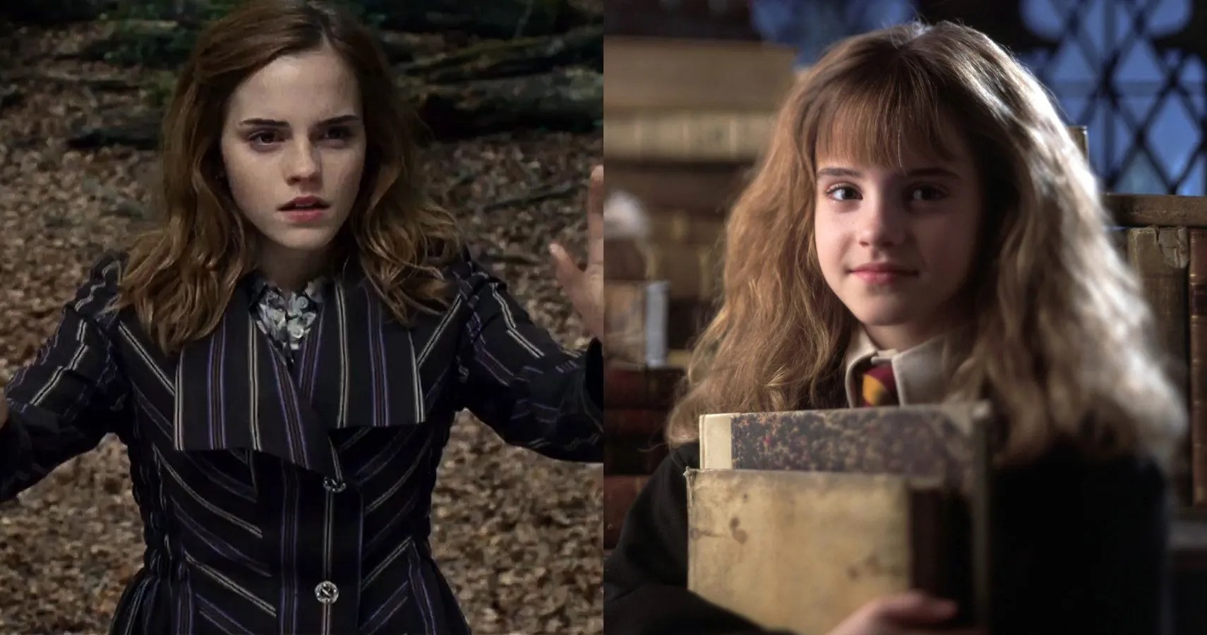 Harry Potter 10 Things We Never Understood About Hermione