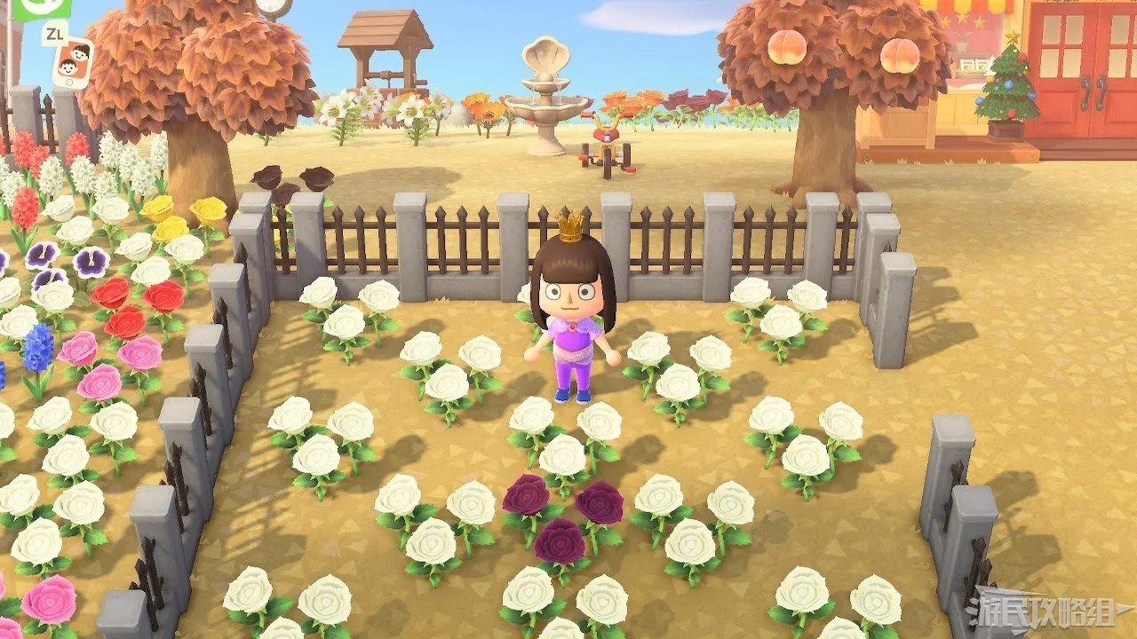 Hyacinth Flower Breeding Animal Crossing Sakura Tucson