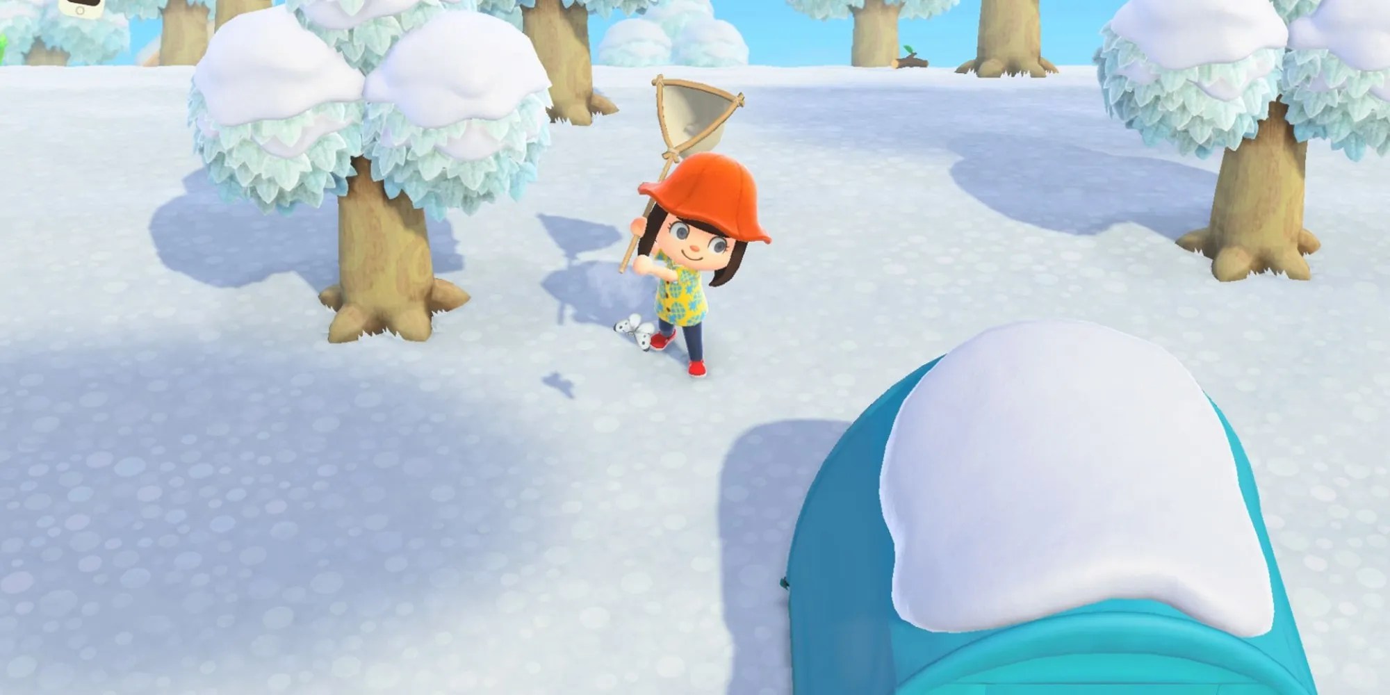 Animal Crossing New Horizons Winter Insects MALANIP