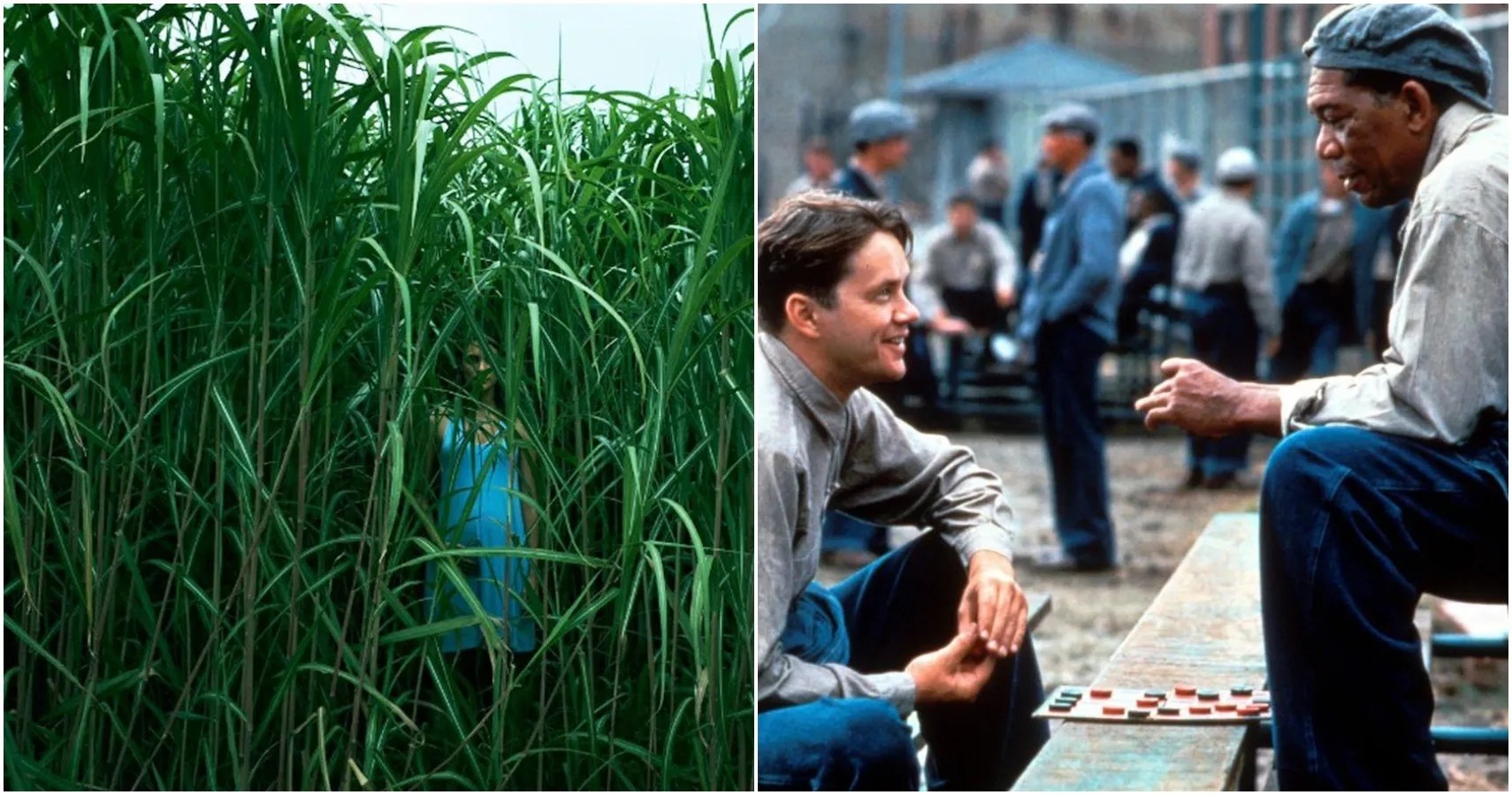 10 Movies You Didn't Know Were Based On Stephen King Stories
