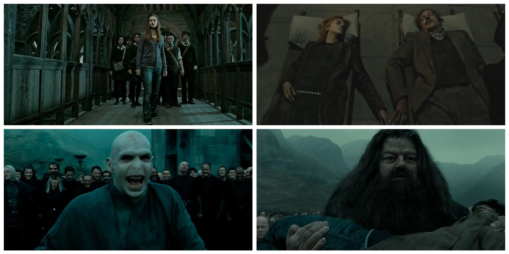 Harry Potter 5 Funniest (& 5 Saddest) Moments In The Deathly Hallows