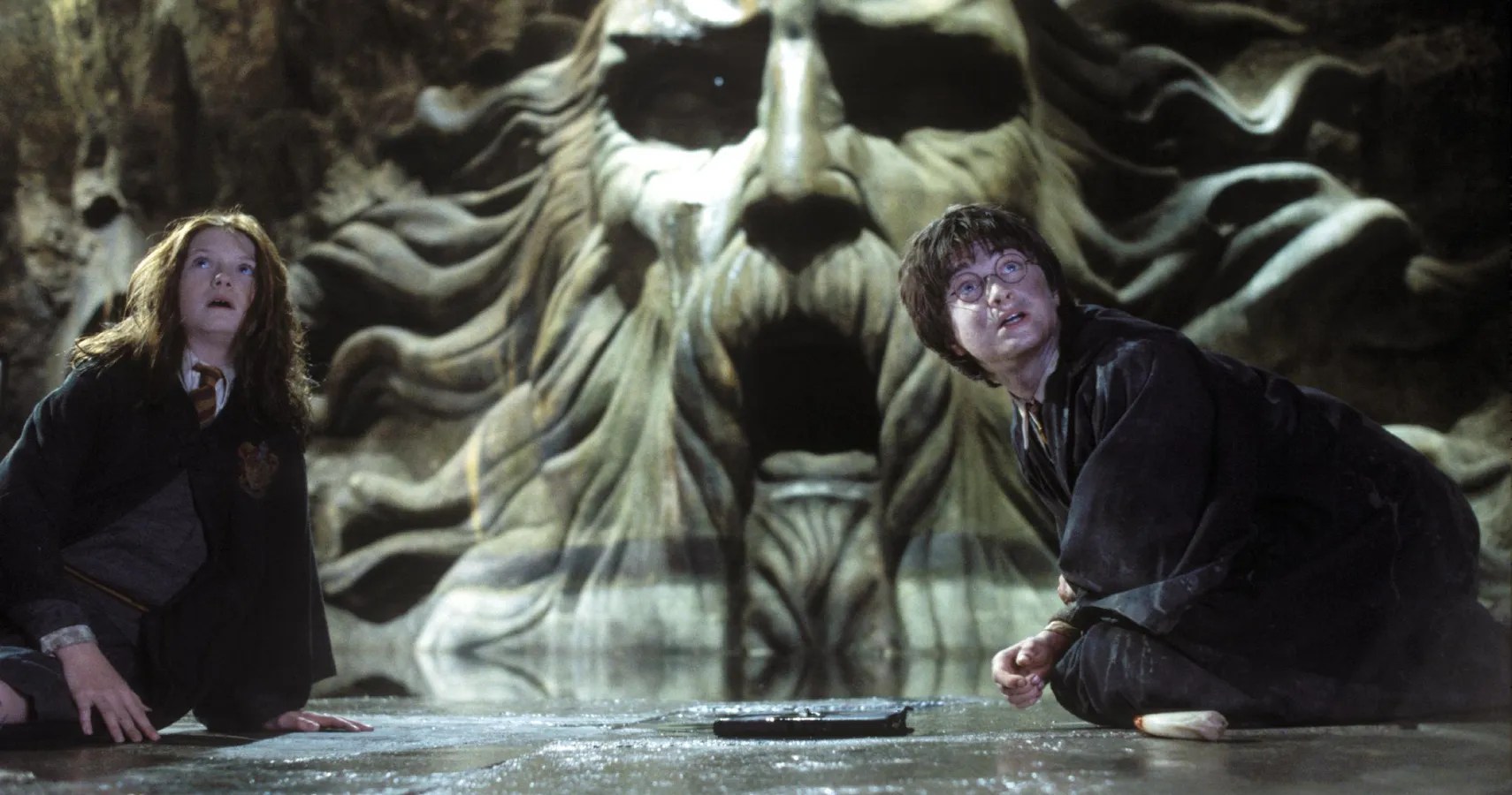 Harry Potter And The Chamber Of Secrets All Deleted