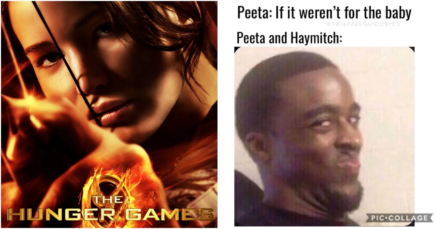 The Hunger Games 10 Memes That Are Too Good To