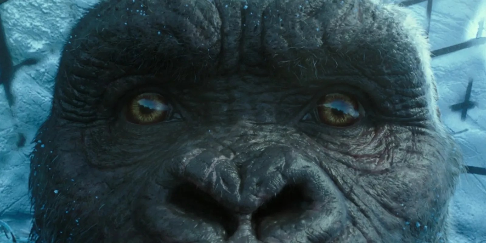 One Reason Kong Looks Different In GVK Is His Eye Design