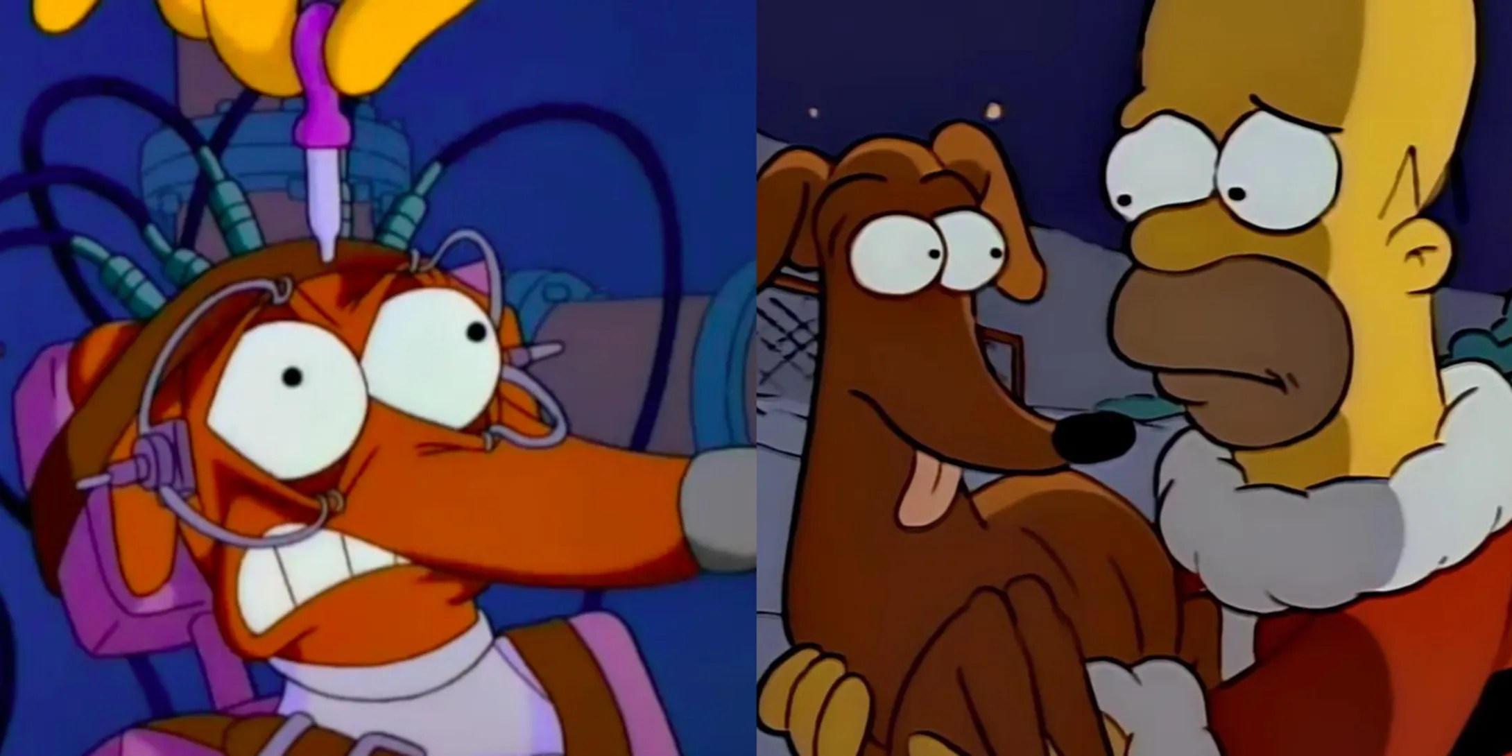 The Simpsons 8 Best Santa's Little Helper Episodes ScreenRant