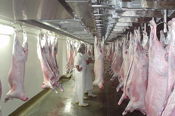 Meatworks from go to whoa Stuff.co.nz