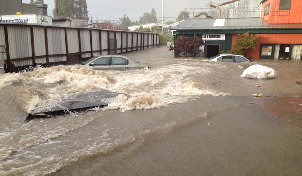 Auckland Council 'should pay for flood damage' Stuff.co.nz